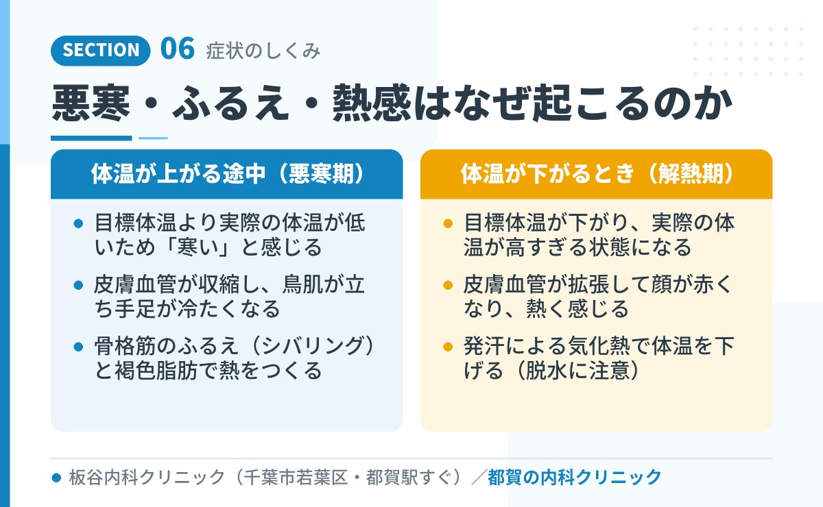 悪寒・ふるえ・熱感はなぜ起こるのか|都賀の内科クリニックが解説